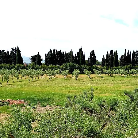 Casa rural Casale Etrusco Bolgheri