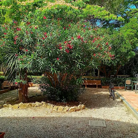 Casa rural Casale Etrusco