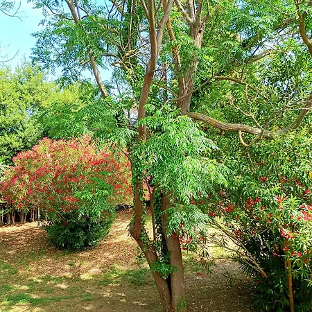 Casale Etrusco *